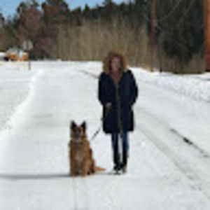 Meet your Posher, Alison